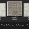 CAMEO 13 - Image 2
